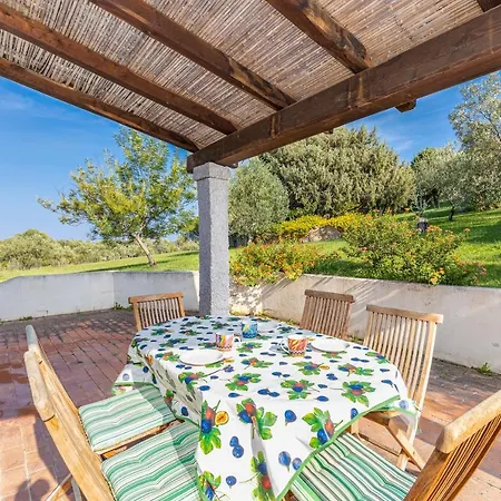Tanka Disizu Olbia