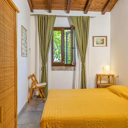 Tanka Disizu * Olbia