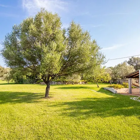 Tanka Disizu Holiday home Olbia