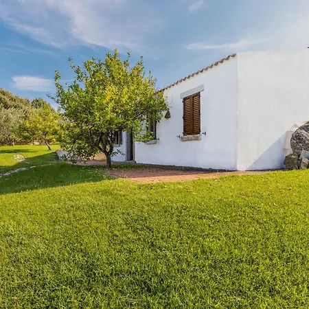 Tanka Disizu Olbia